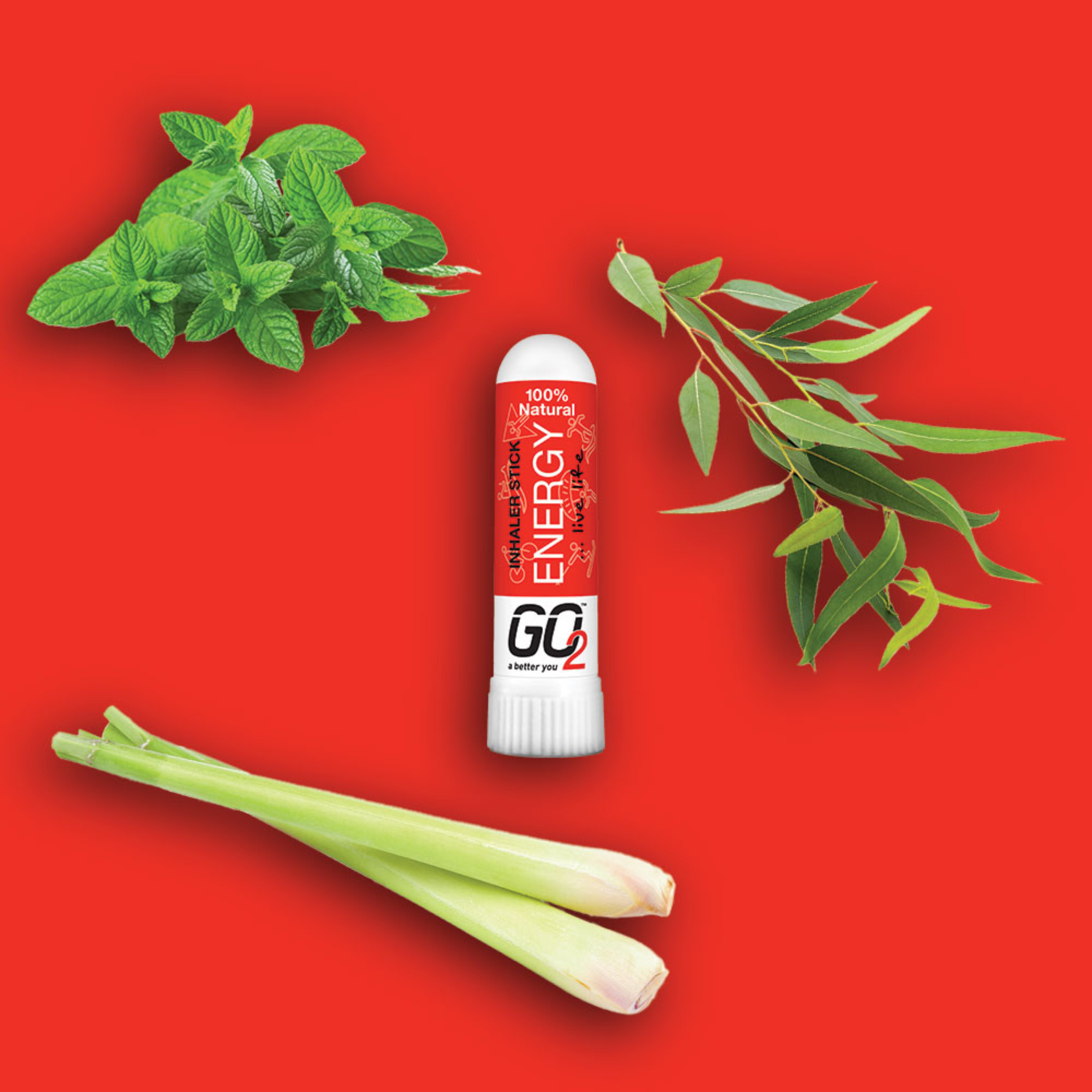 GO2 Essential Oil Energy Inhaler Stick 1ml