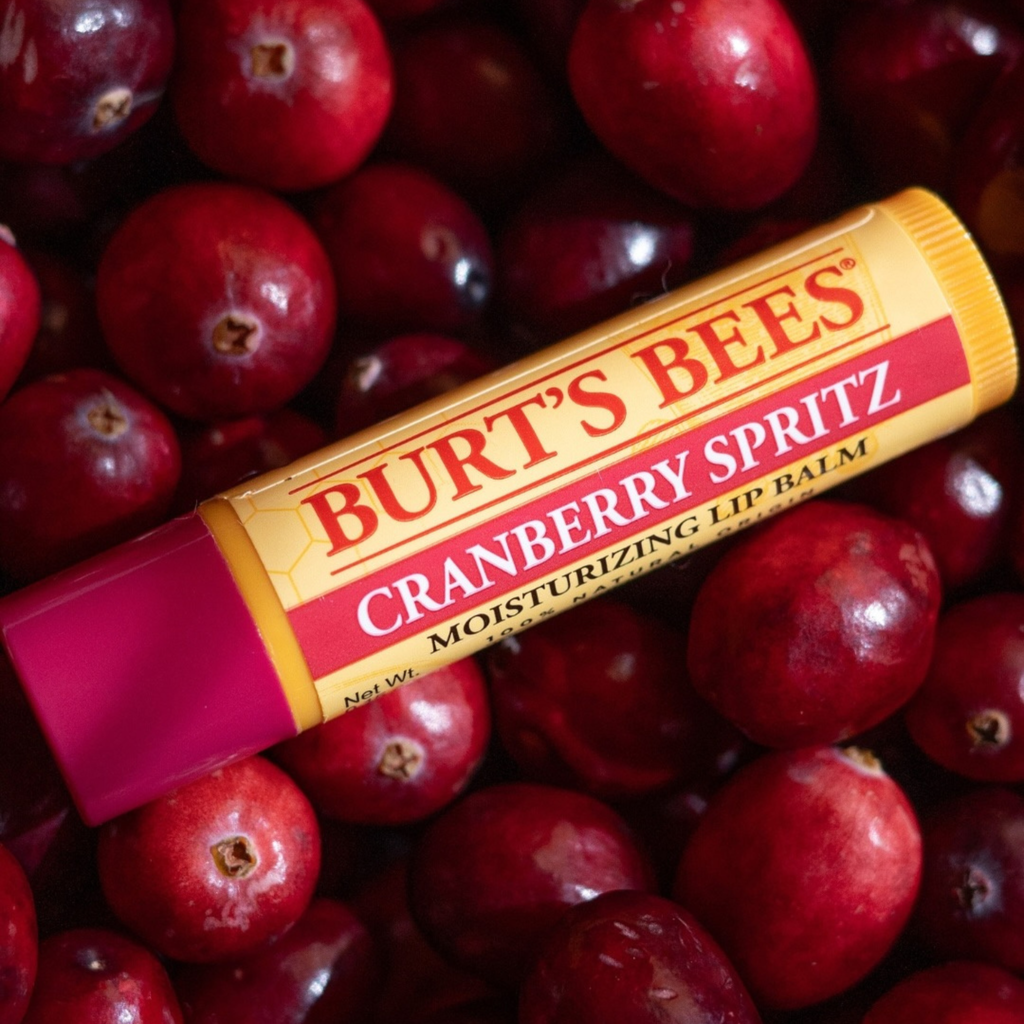 Burt's Bees Cozy Season Mix Lip Balm Pack