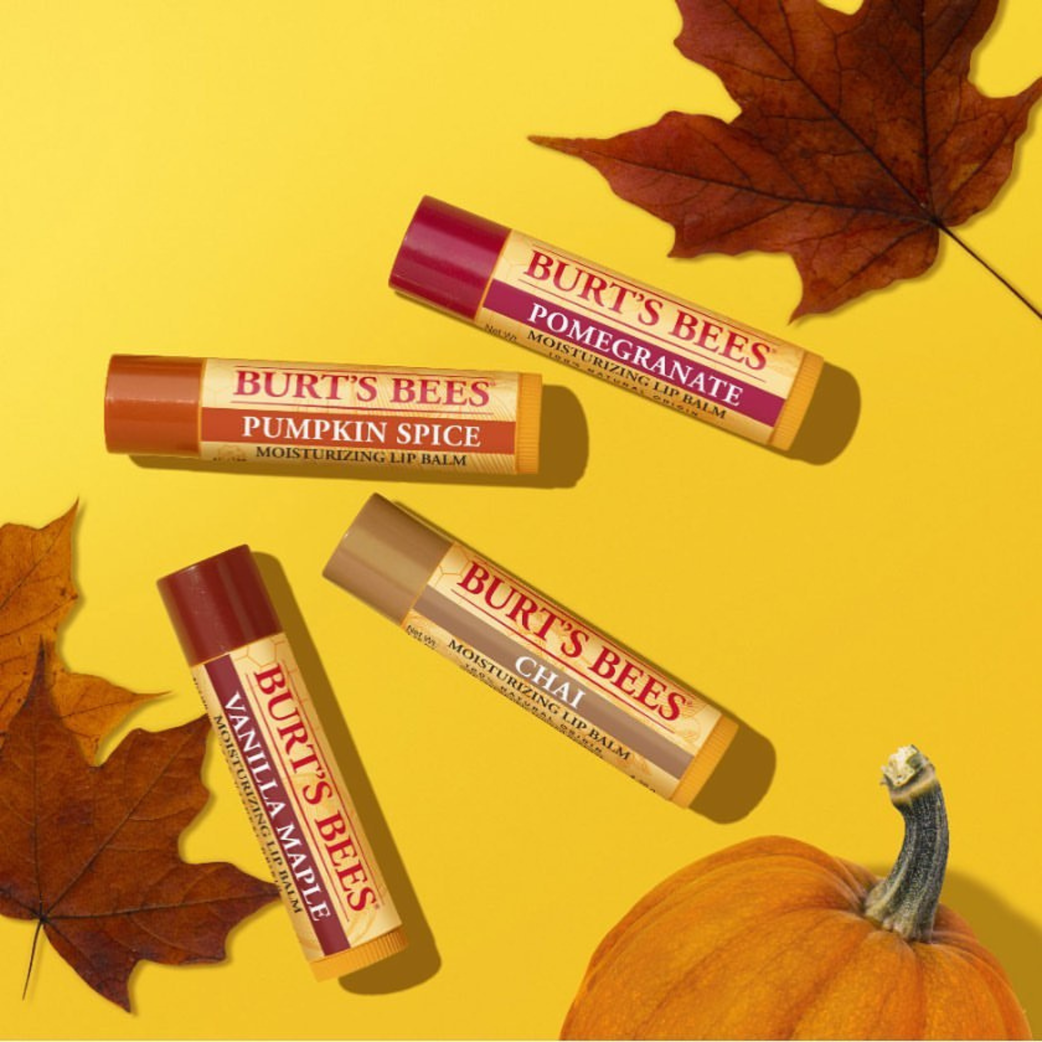 Burt's Bees Sugar & Spice Lip Balm 4 Pack