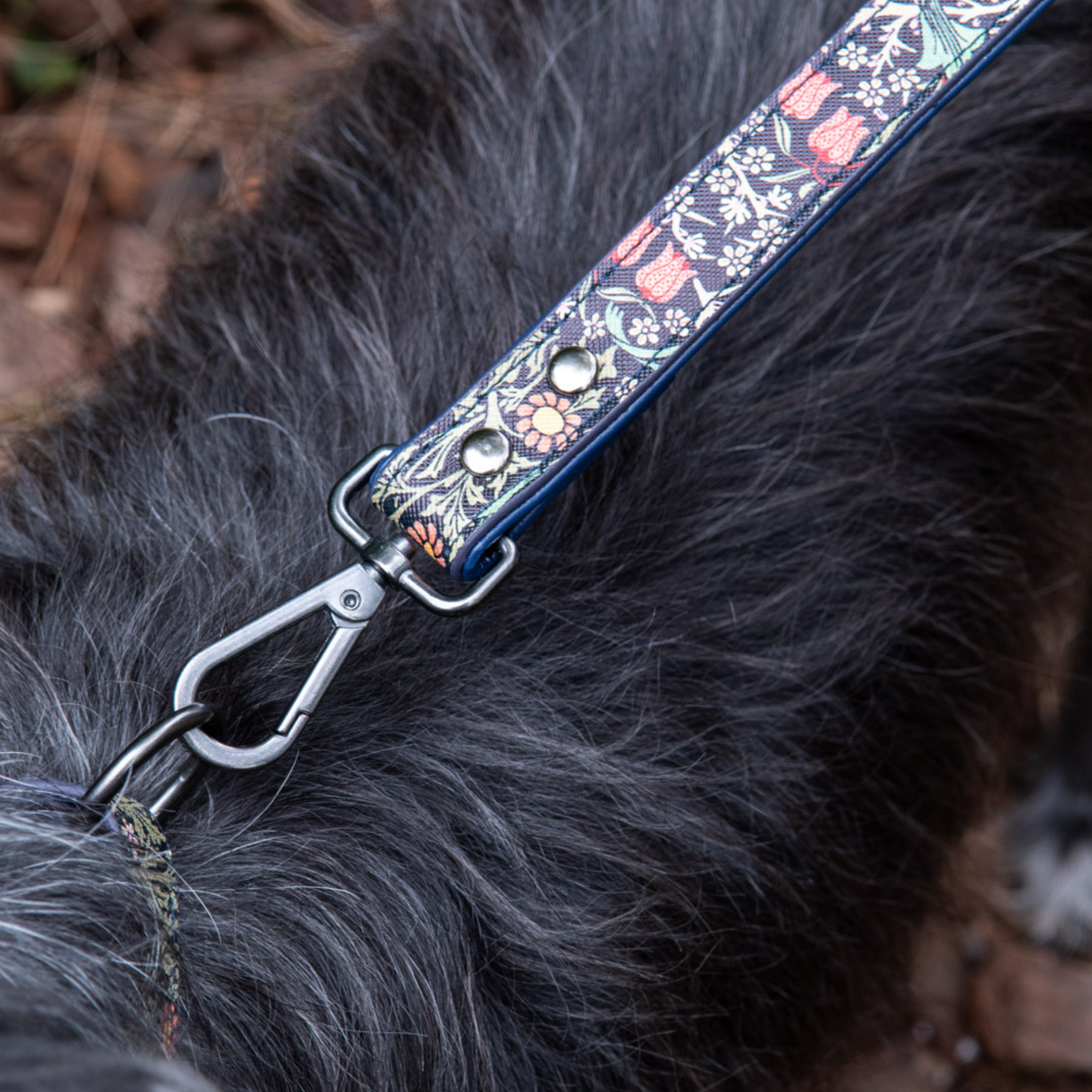 Heathcote & Ivory Dog Lead