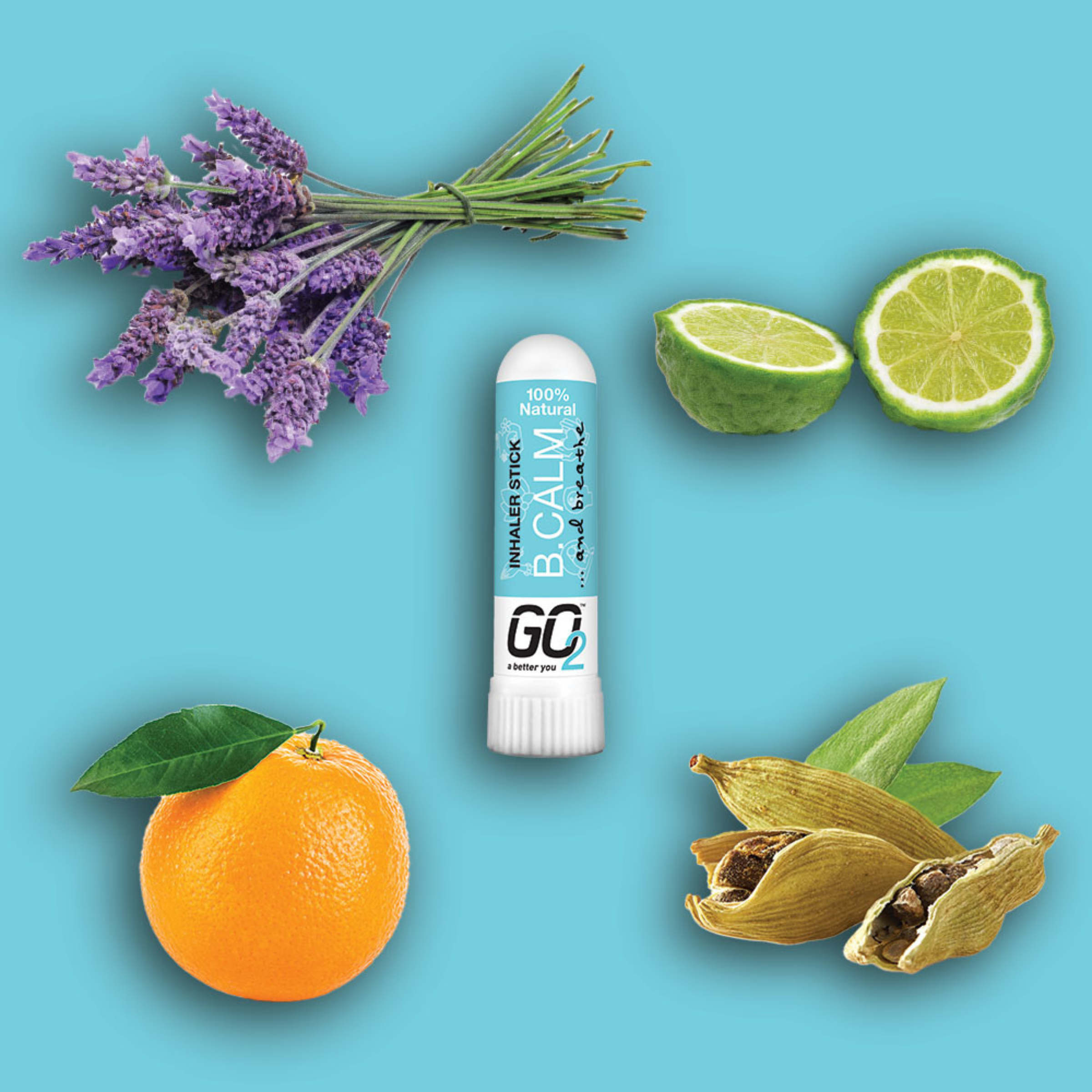 GO2 Essential Oil B.Calm Inhaler Stick 1ml