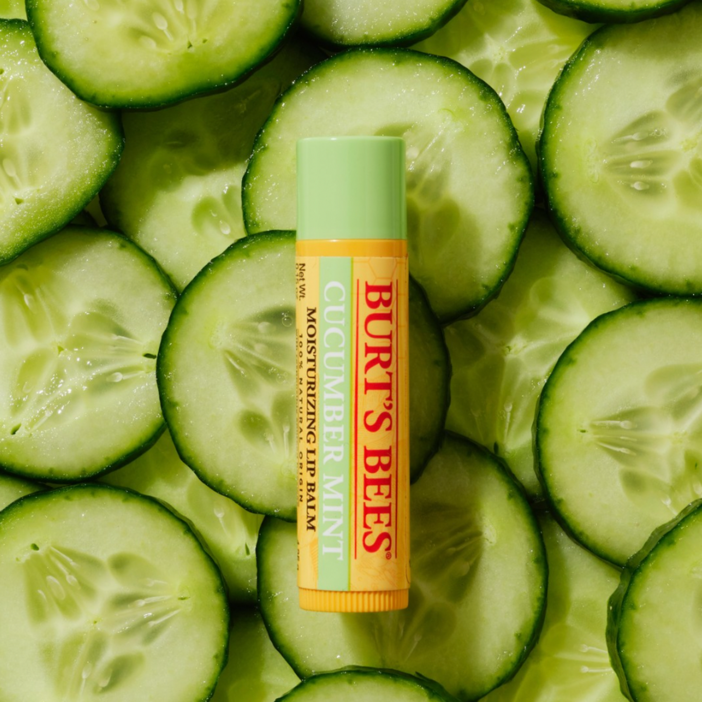 Burt's Bees Cucumber Mint Lip Balm 4.25g