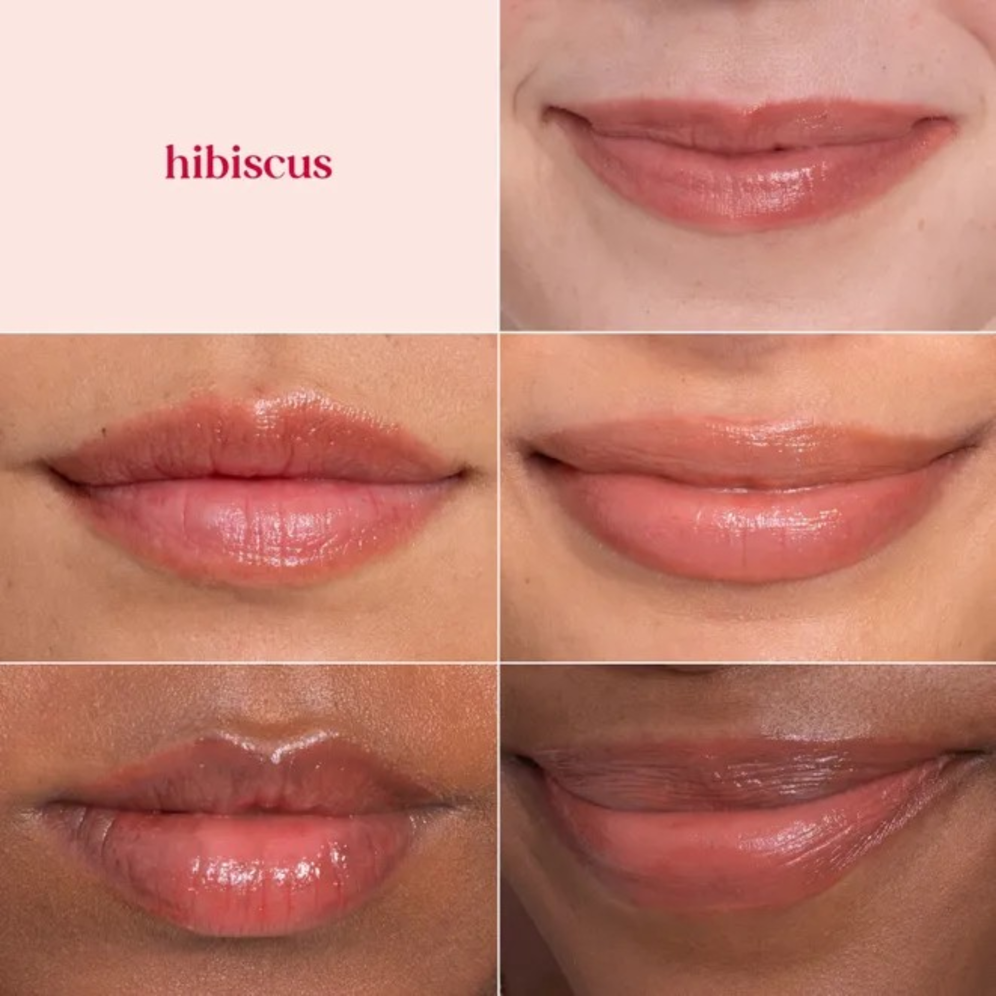 Burt's Bees Tinted Lip Balm Hibiscus