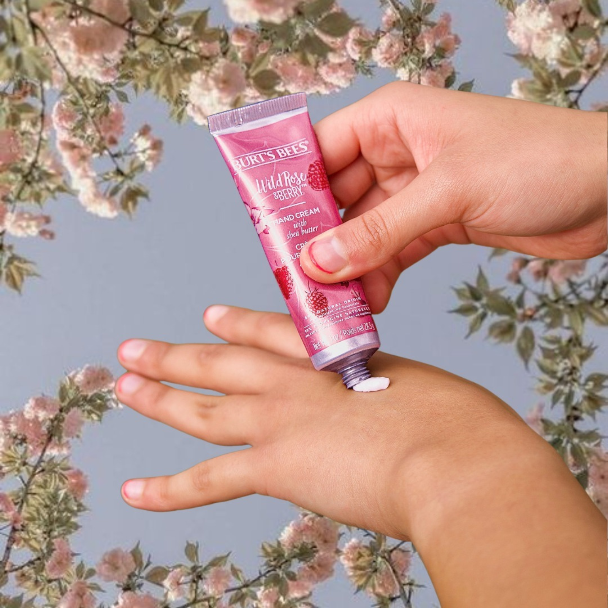 Burt’s Bees Wild Rose & Berry Hand Cream 28.3g