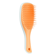 Tangle Teezer Mini Ultimate Detangler Ice Blue/Sweet Orange