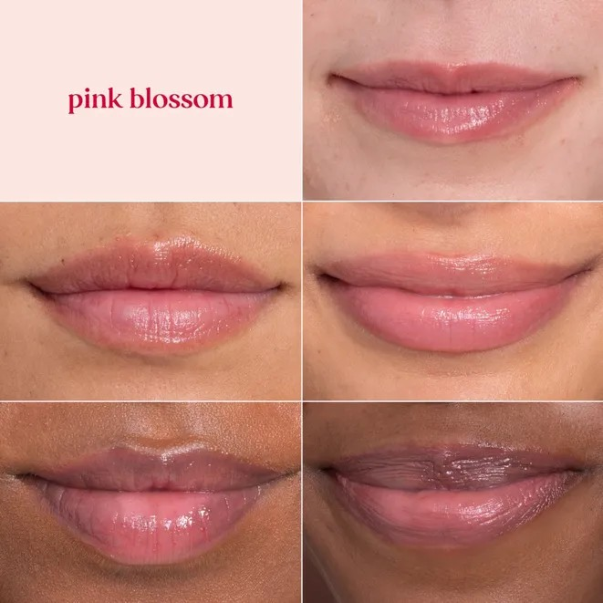 Burt's Bees Tinted Lip Balm Pink Blossom