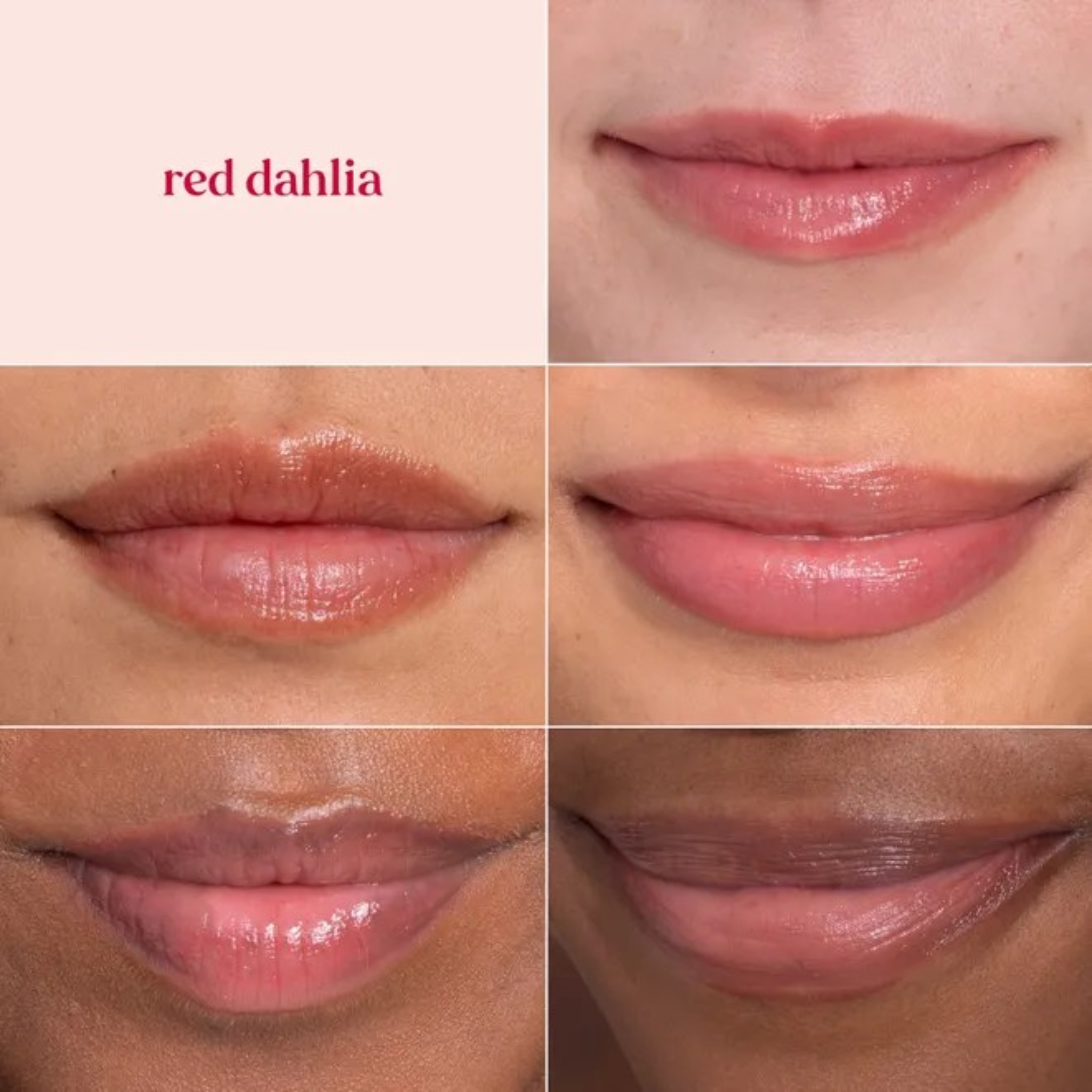 Burt's Bees Tinted Lip Balm Red Dahlia